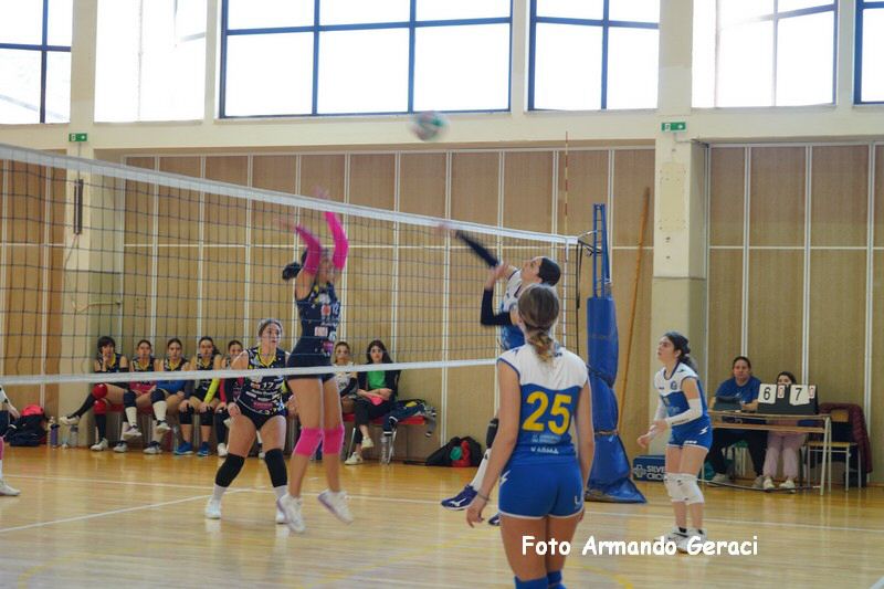 DSC01417_tn.jpg