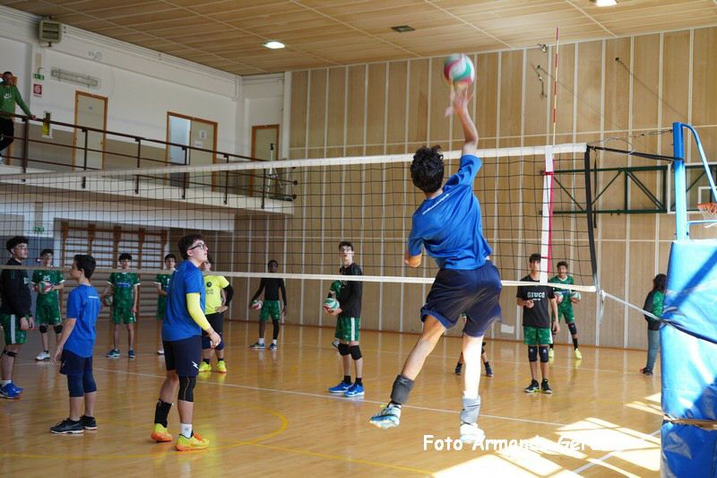DSC03295_tn.jpg