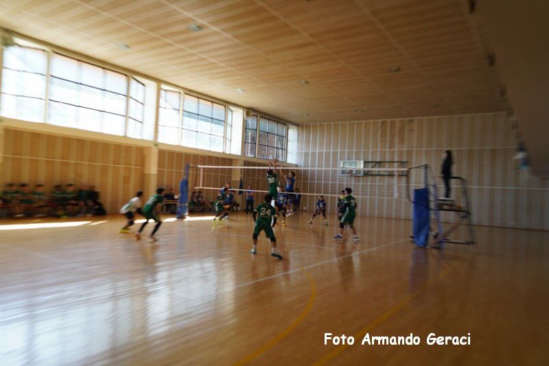 DSC03352_tn.jpg
