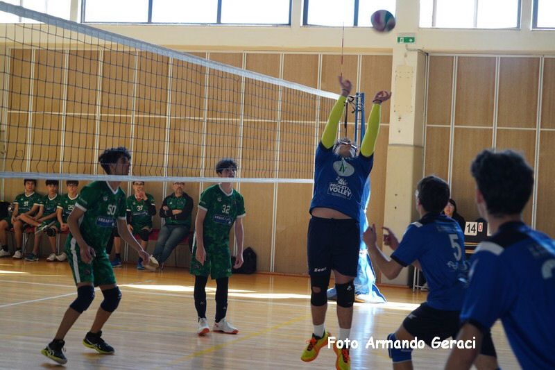 DSC03371_tn.jpg