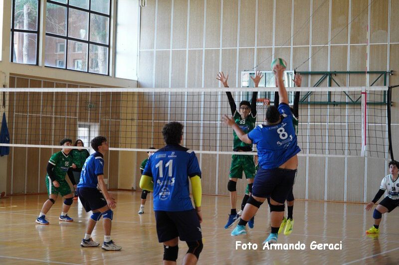 DSC03383_tn.jpg