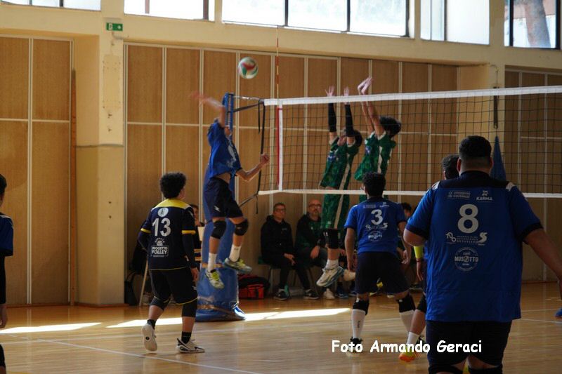 DSC03393_tn.jpg