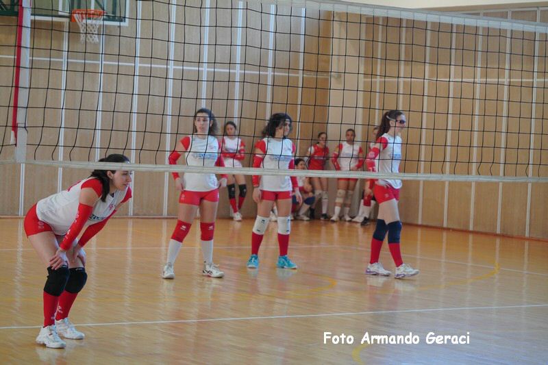 DSC03468_tn.jpg