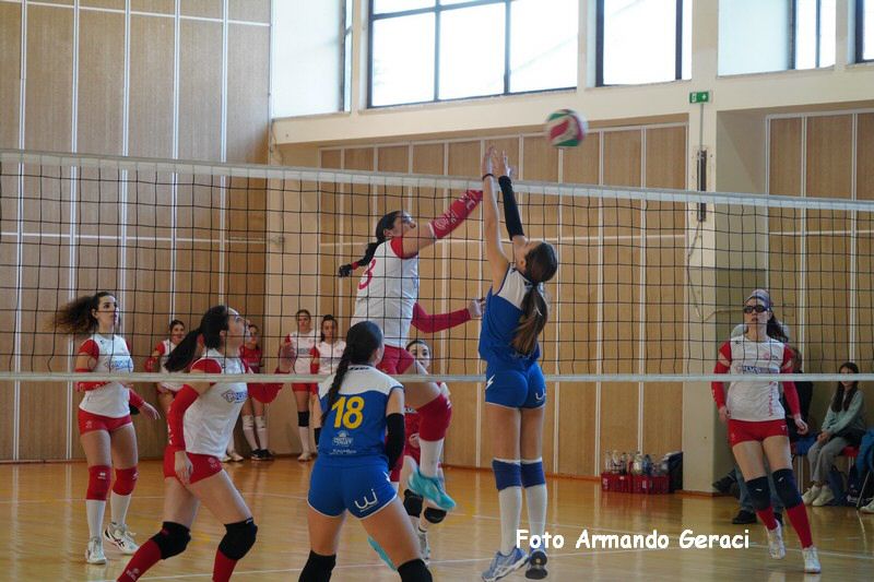 DSC03475_tn.jpg