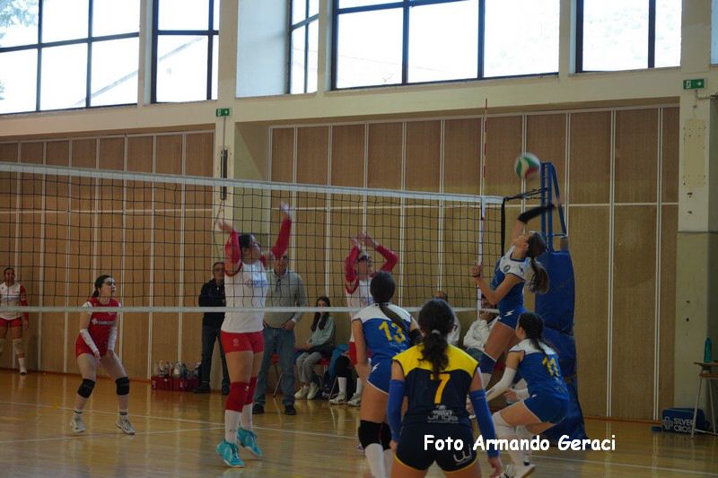 DSC03478_tn.jpg