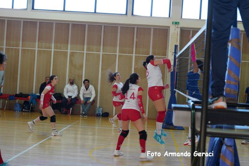 DSC03495_tn.jpg