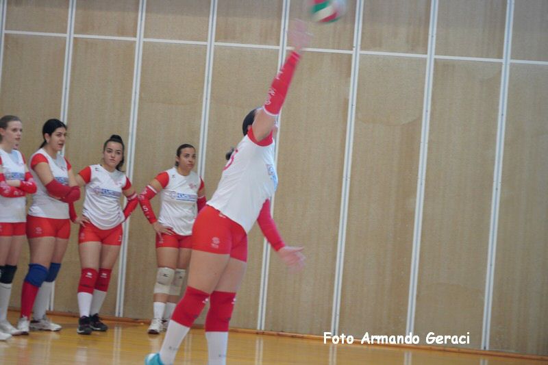 DSC03498_tn.jpg