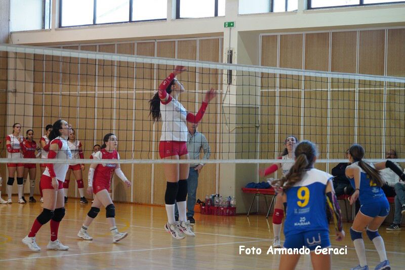 DSC03504_tn.jpg