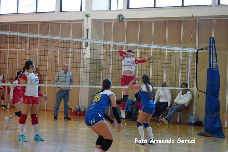 DSC03519_tn.jpg