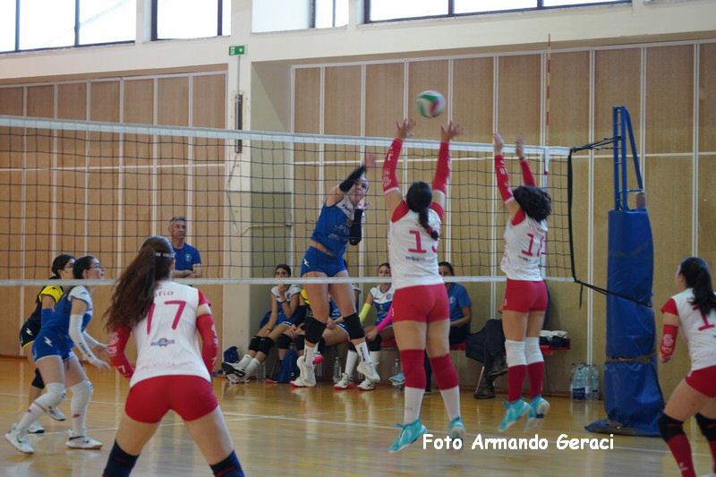 DSC03536_tn.jpg