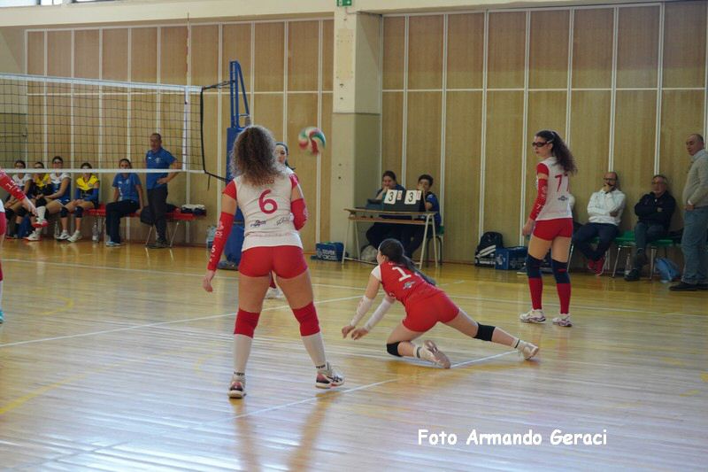 DSC03539_tn.jpg
