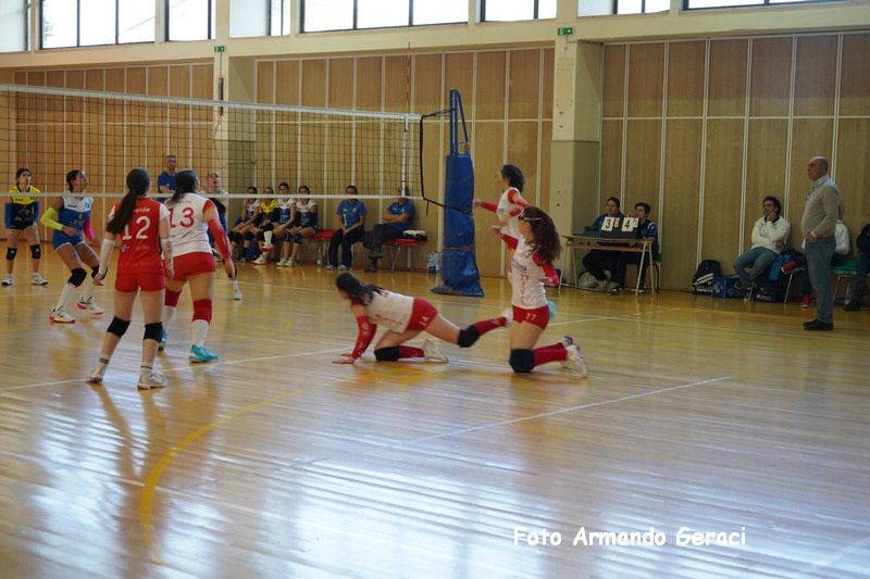 DSC03542_tn.jpg