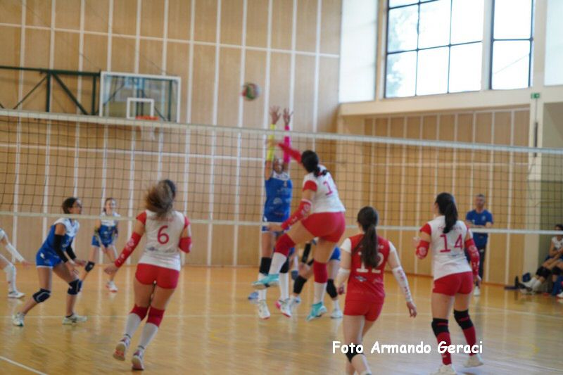 DSC03550_tn.jpg