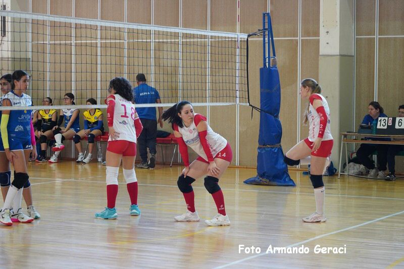 DSC03560_tn.jpg