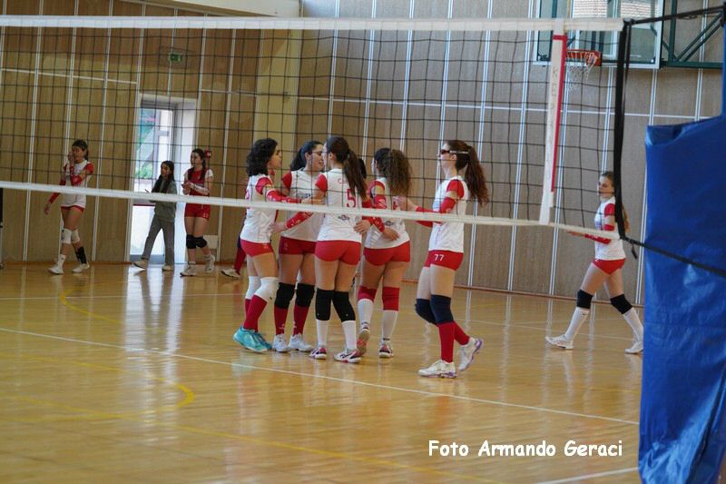 DSC03602_tn.jpg