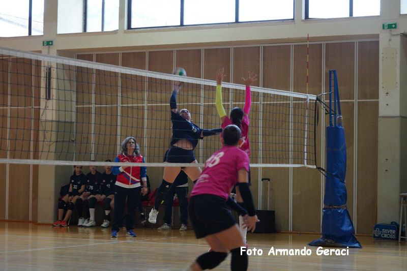 DSC03738_tn.jpg