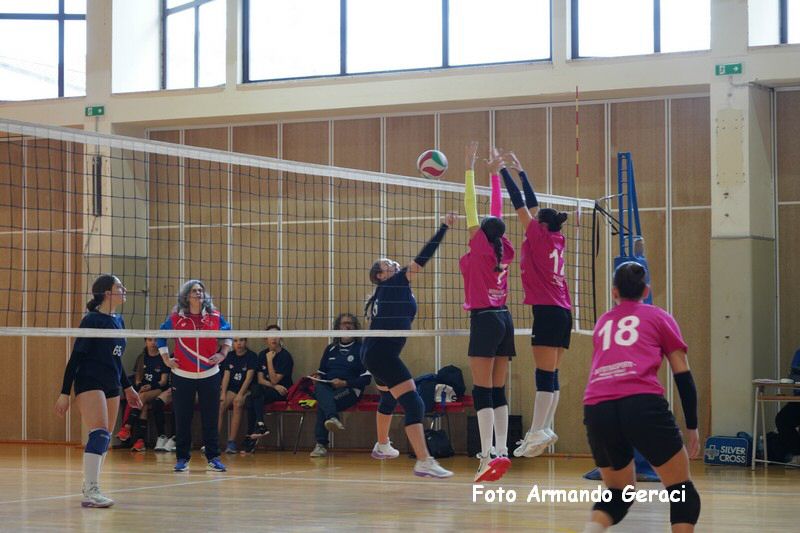 DSC03743_tn.jpg