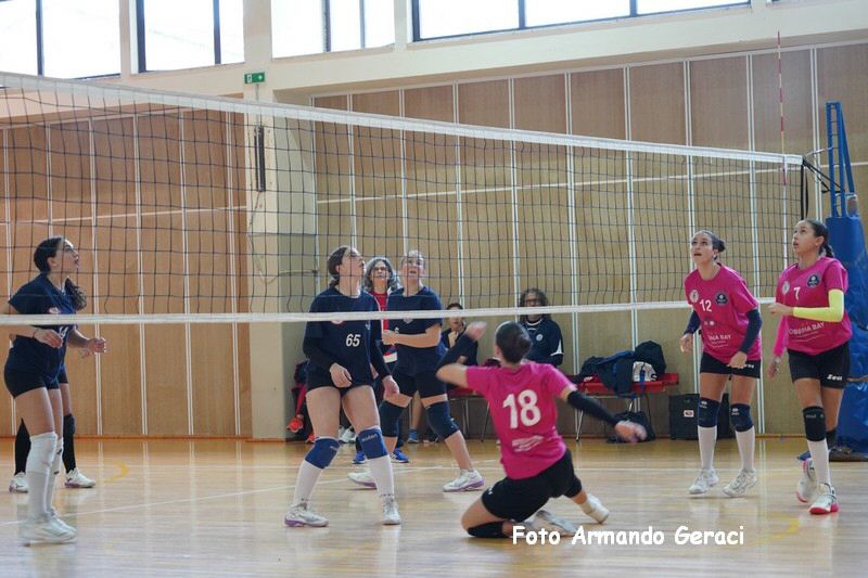 DSC03744_tn.jpg