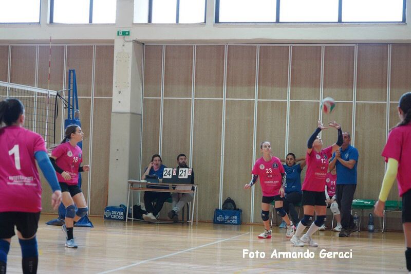 DSC03767_tn.jpg