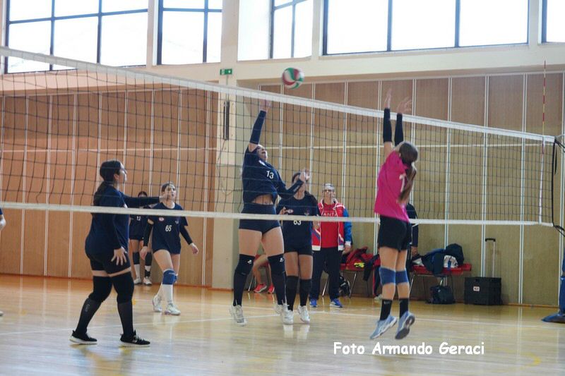 DSC03768_tn.jpg