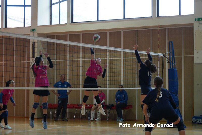DSC03776_tn.jpg