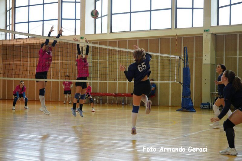 DSC03782_tn.jpg