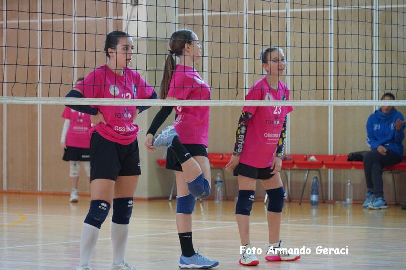 DSC03784_tn.jpg