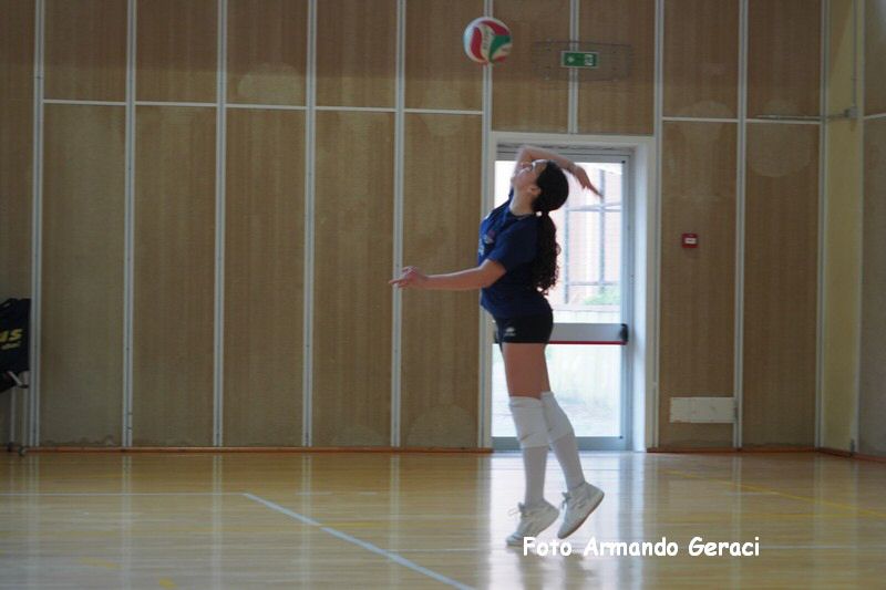 DSC03790_tn.jpg