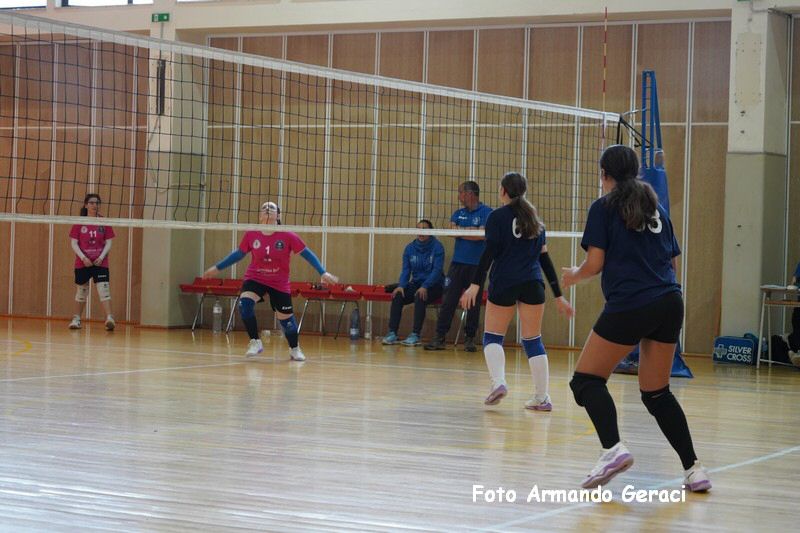 DSC03801_tn.jpg