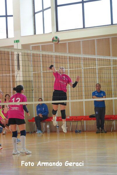 DSC03812_tn.jpg