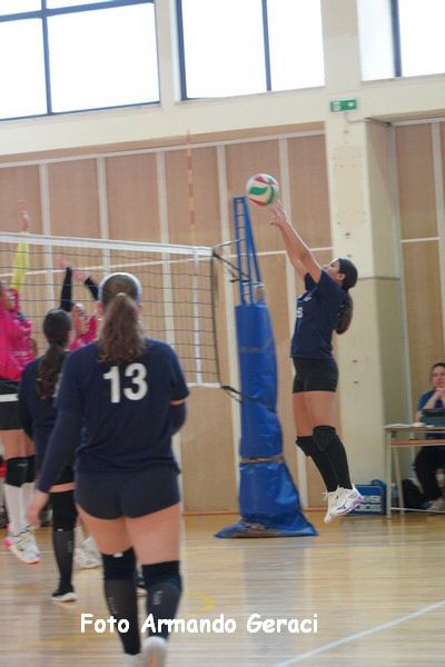 DSC03813_tn.jpg