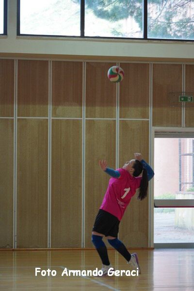 DSC03838_tn.jpg