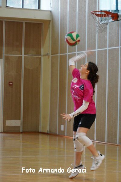 DSC03862_tn.jpg