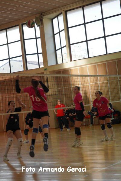 DSC03864_tn.jpg