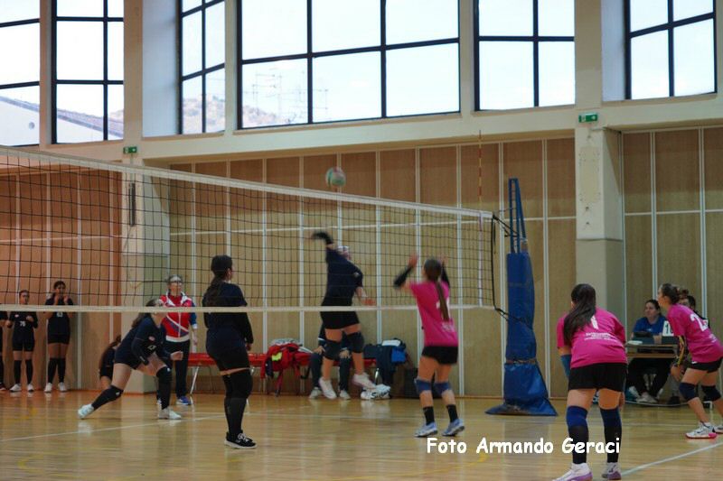 DSC03904_tn.jpg