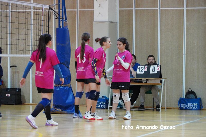 DSC03907_tn.jpg