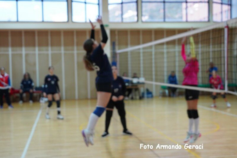 DSC03910_tn.jpg