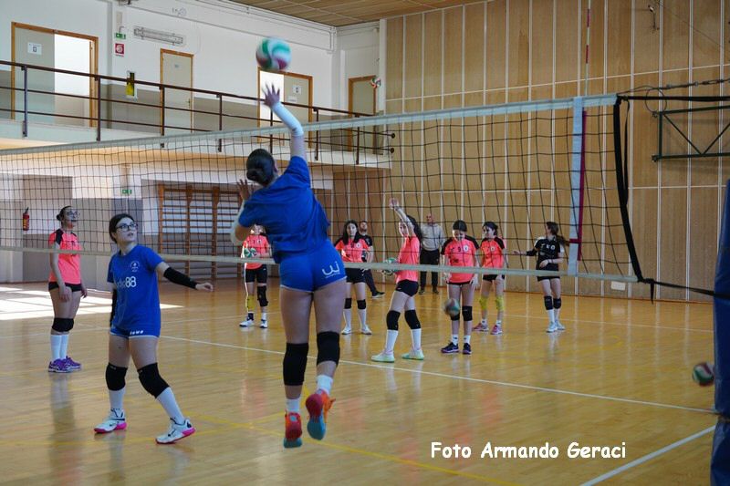 DSC04519_tn.jpg