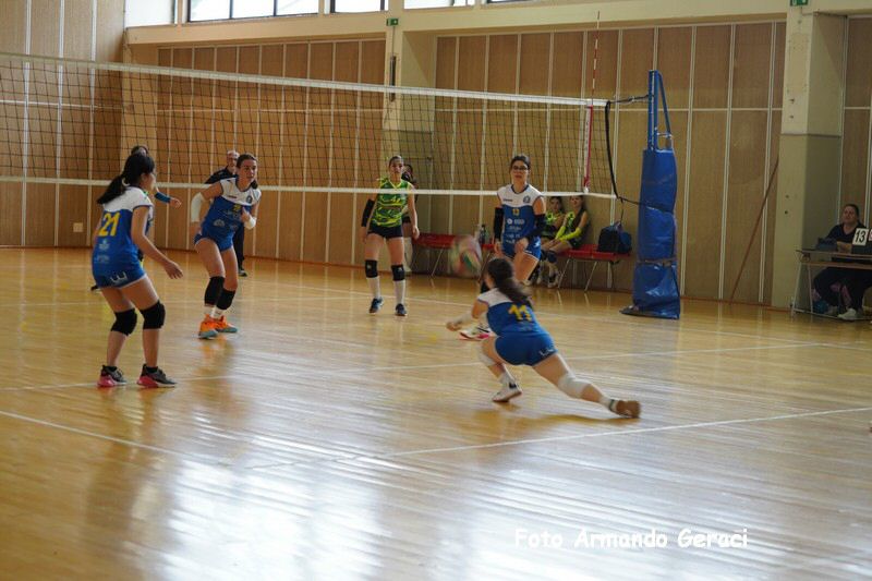 DSC07501_tn.jpg