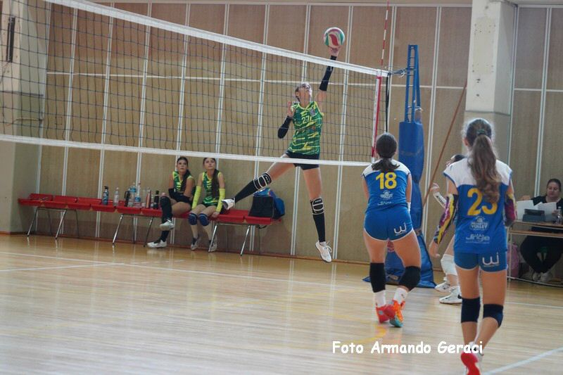 DSC07515_tn.jpg