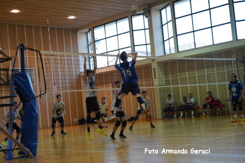 DSC08317_tn.jpg