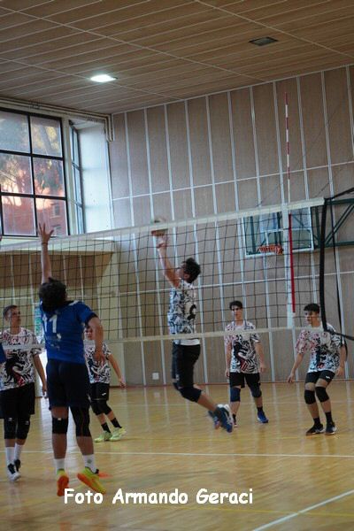 DSC08330_tn.jpg