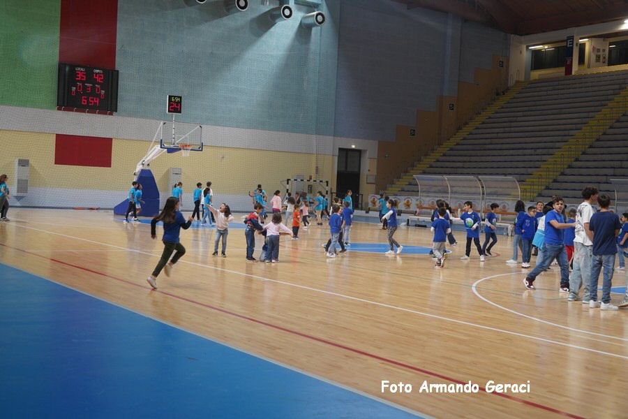 241110_Zannella-BCefalu1972_Dr1_161.JPG