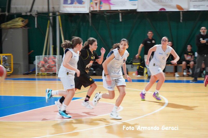 DSC04603_tn.jpg