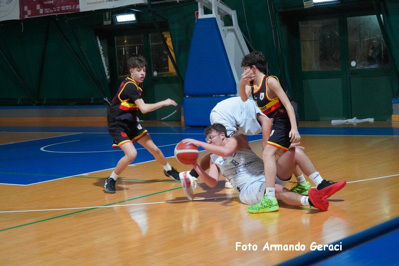 DSC05780_tn.jpg