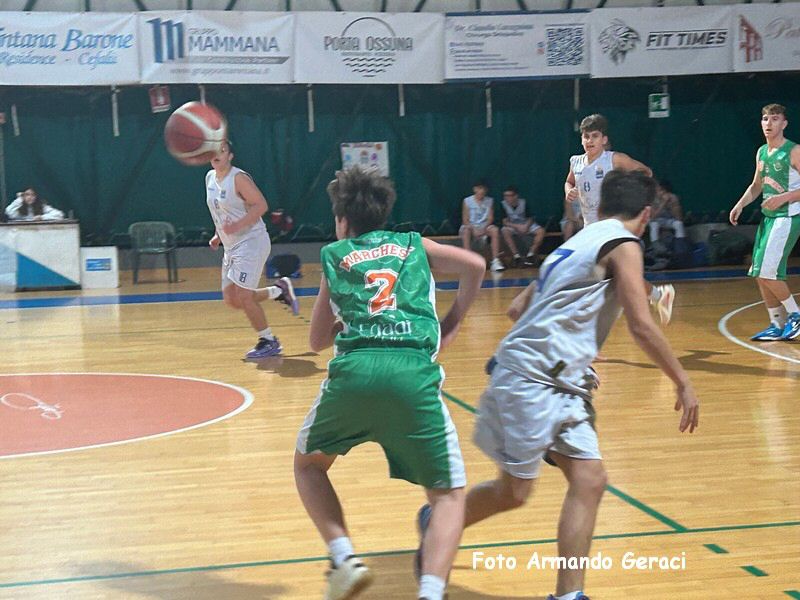 IMG_3060_tn.jpg