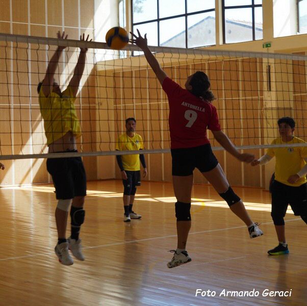 DSC04601y_tn.jpg