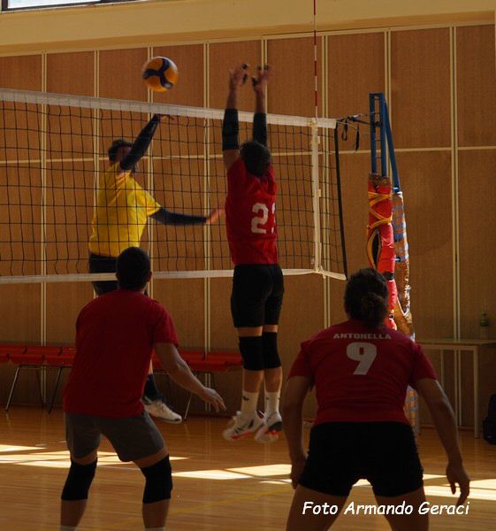 DSC04604y_tn.jpg