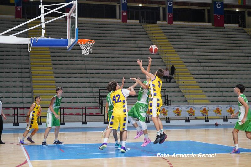 DSC09130_tn.jpg