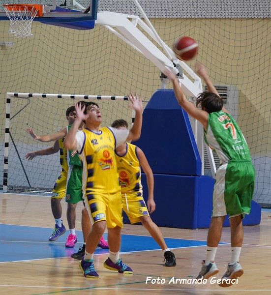 DSC00385y_tn.jpg